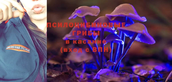 кокс Алзамай