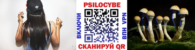 Галлюциногенные грибы Magic Shrooms  Чадан 